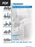 Carber Plug Testing and Isolation Services | PDF | Pipe (Fluid ...