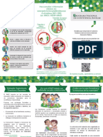 14 Triptico PNCE PDF