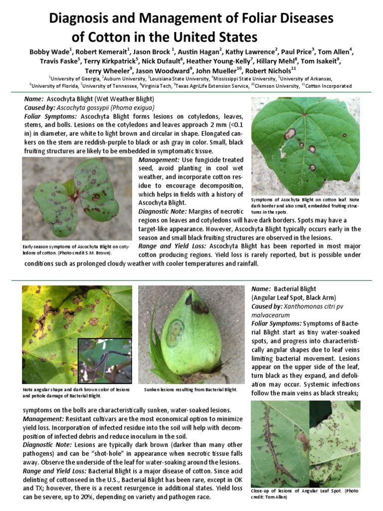 Cotton Diseases | PDF