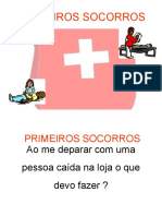 Primeiros Socorros Padrão PDF