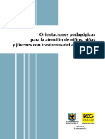 orientaciones pedagogicas transtornos aprendizaje.pdf