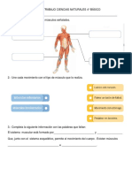 Guia de Trabajo Ciencias Naturales 4