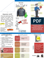 Disposicion de EPP PDF