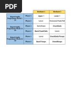 Hypertrophy Programme Week 21-30