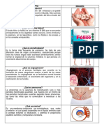 Conceptos - Enfermeria