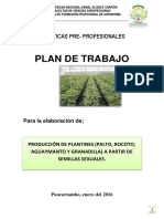 Plan de Trabajo Semillas