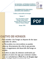 Cultivo y Microcultivo de Hongos.pptx