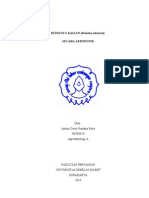 Download BUDIDAYAKAILANbyanthonyputra2SN44814840 doc pdf
