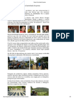 Catarina Rüdiger Nossa Caminhada Surpresa.pdf