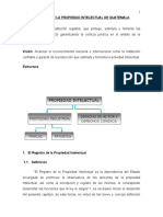 137833195-Registro-de-La-Propiedad-Intelectual-de-Guatemala-2.doc