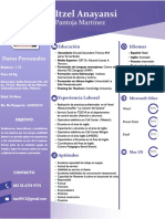 CV Itzel PDF