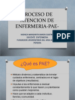 Proceso de Atención de Enfermeria (Pae)