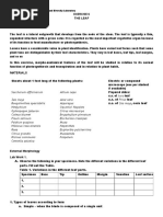 Leaf Attachment and Arrangement Guide | PDF | Leaf | Botany
