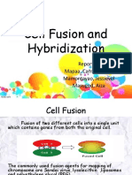 Cell Fusion and Hybridization