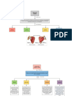 Mapa Manguito Rotador PDF