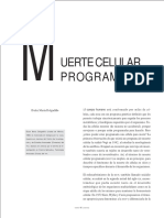 Delgadillo 2002 PDF