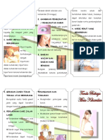 Leaflet Seksual