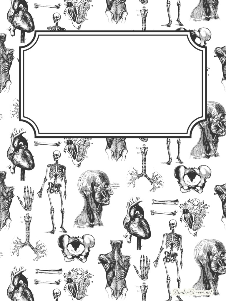 Anatomy Binder Cover Watermarked PDF | PDF