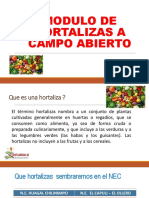 Modulo de Hortalizas A Campo Abierto PDF