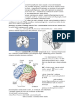 Neurostiinte