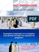 PP Pinguinoemperador