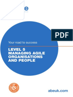 Agile Organisations PDF