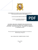 Tesis+UNMSM+Licenciatura.pdf