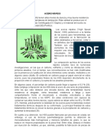 377009341-Acero-Rapido.pdf