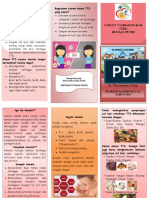 Leaflet TTD Rematri