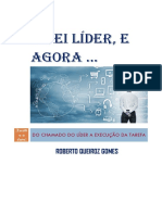 Virei Lider e Agora - 1