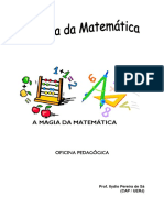 01-intercap2008a.pdf
