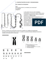 Actividad Nº 5 Compactación de Adn y Cromosomas