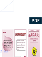 Leaflet Sadari PDF