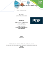Etapa3 - Balance de Masas PDF