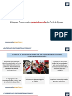 Enfoques-Transversales.pdf