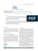 ESTRUCTURA Y FUNCIONES DEL SISTEMA RESPIRATORIO.pdf