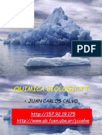 QUIMICA BIOLOGICA.ppt