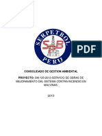 Informe de Gestion Ambiental PDF
