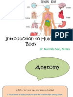 Introduction to the Six Levels of Human Body Organization