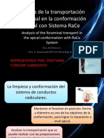 Análisis de La Transportación Foraminal en La Conformación