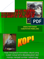 Budidaya Kopi