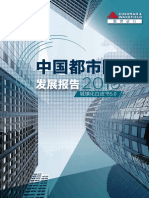 戴德梁行 2019中国都市圈发展报告 PDF