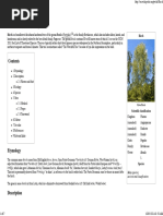 Birch - Wikipedia, The Free Encyclopedia