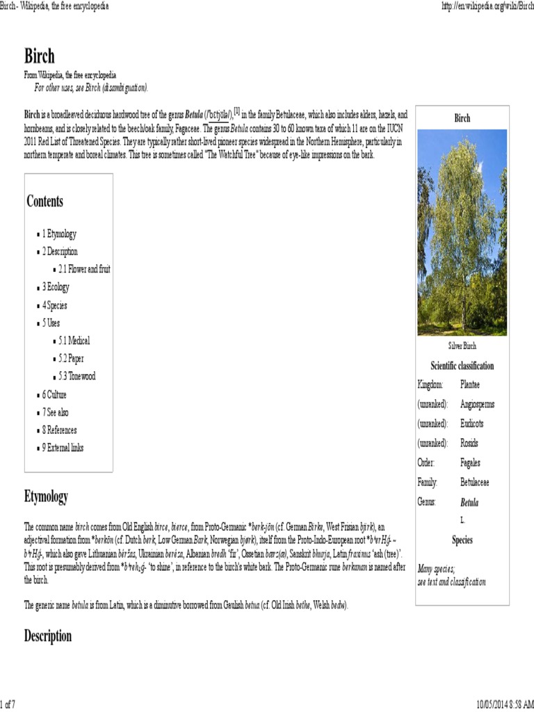 Birch - Wikipedia, The Free Encyclopedia | PDF | Plant Life Form | Trees