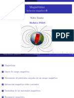 Magnetismo FS210 PDF