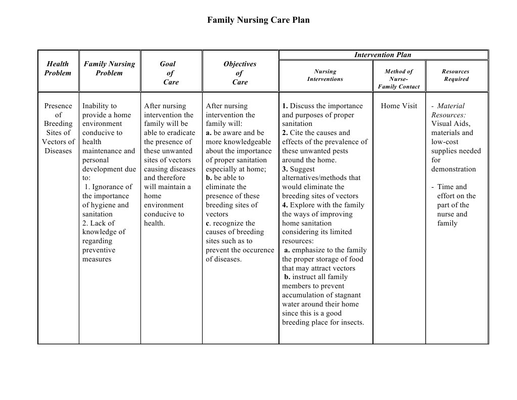 (Family Nursing Care Plan) Health Care Public Health
