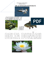 Proiect Comorile Din Delta Dunc483rii Ecologie Eu 2003