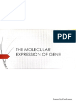 Cyto Midterm 2ND Lec 1