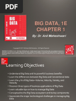 Big Data MHE - CH 1 - Wholeness