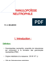 01 Granulopoiese Neutrophile Et Lignees Apparentees 1